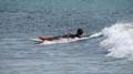 Surfaris and Byron B#2F565B