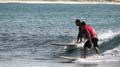 Surfaris and Byron B#2F565E