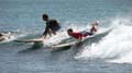 Surfaris and Byron B#2F566F
