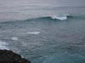 Surfaris and Byron B#2F56C5