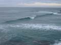 Surfaris and Byron B#2F56C6