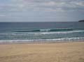 Surfaris and Byron B#2F5700