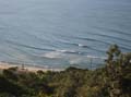 Surfaris and Byron B#2F572E