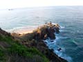Surfaris and Byron B#2F5730