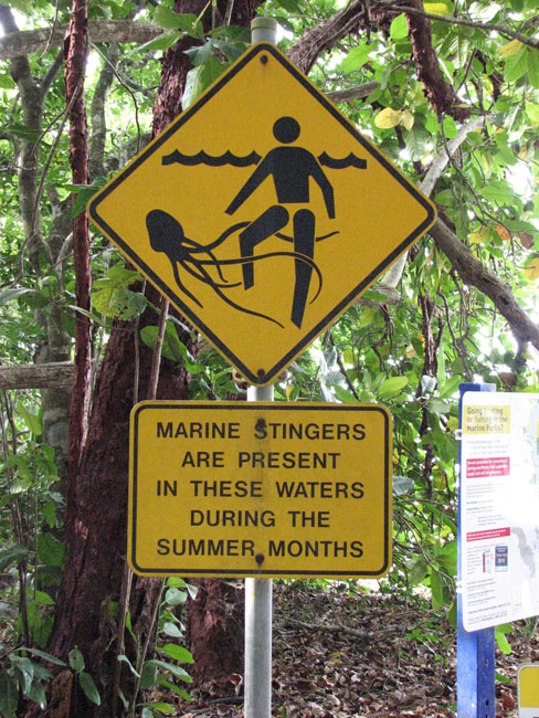 Cape tribulation - 01