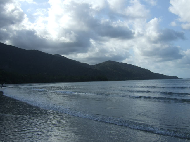 Cape tribulation - 11