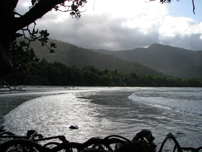 Cape tribulation - 28