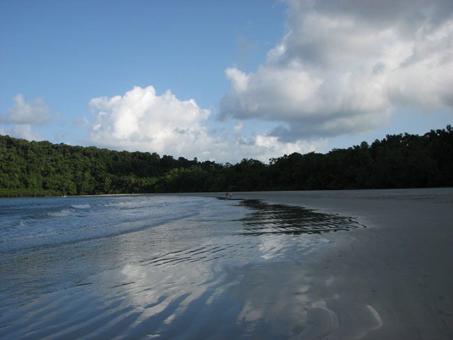 Cape tribulation - 31