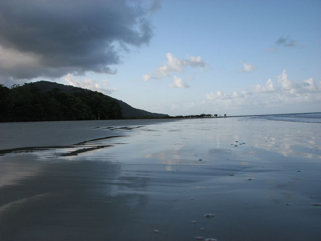 Cape tribulation - 42