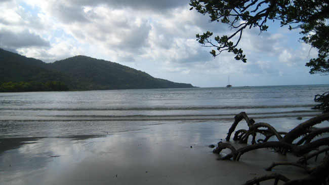 Cape tribulation - 50