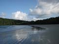 Cape tribulation - 31