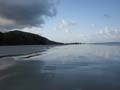 Cape tribulation - 42
