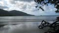 Cape tribulation - 50