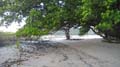 Cape tribulation - 71