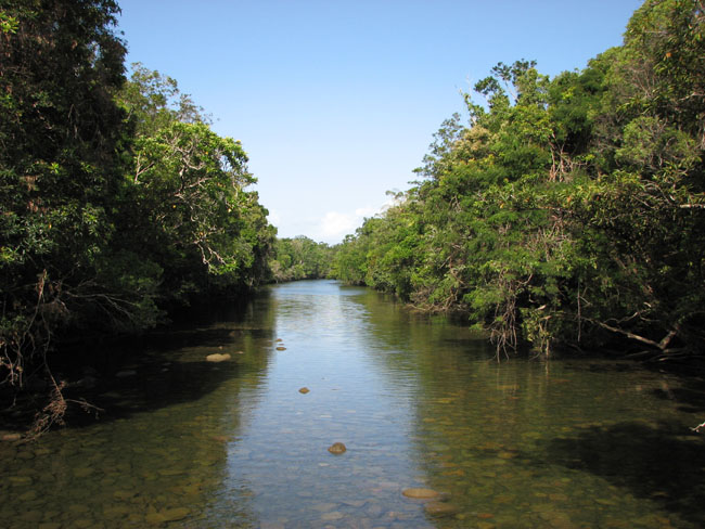 Daintree National Pa#206D94