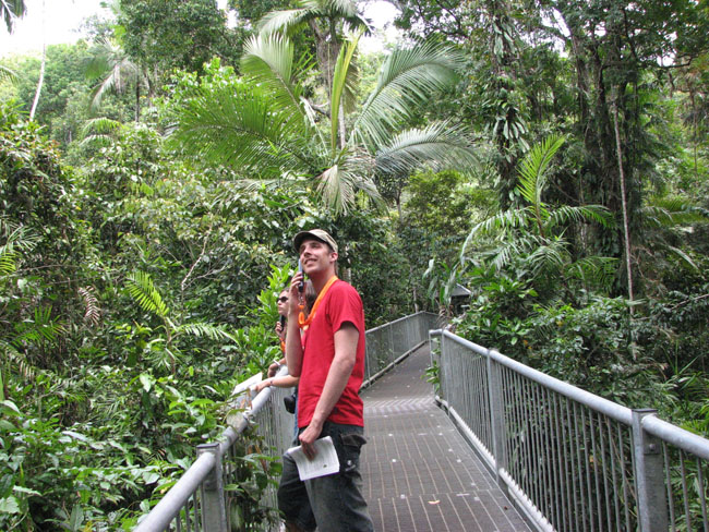 Daintree National Pa#206D9B