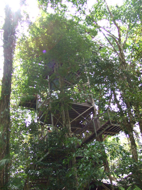 Daintree National Pa#206DC2