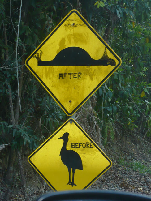 Daintree National Pa#206DCC