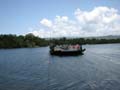 Daintree National Pa#206D91