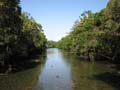 Daintree National Pa#206D94