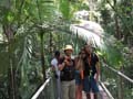 Daintree National Pa#206DA3