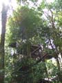 Daintree National Pa#206DC2
