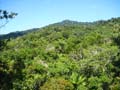 Daintree National Pa#206DC4